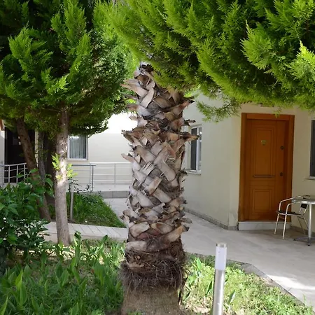 Hotel Andiz 3*