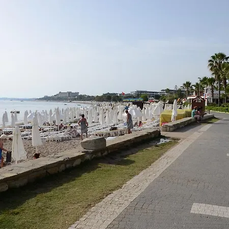 Andiz Side